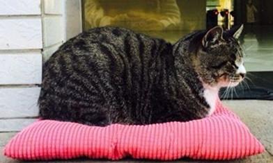 国医·青年嘘,这些秘密只有北中医人才听得懂~