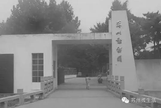 快看！苏州要在全球出名了！竟然与纽约、伦敦、东京、巴黎同上一个榜单...