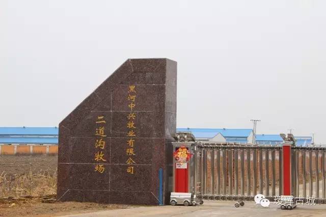 奶粉市场调查与分析,黑龙江黑河奶粉