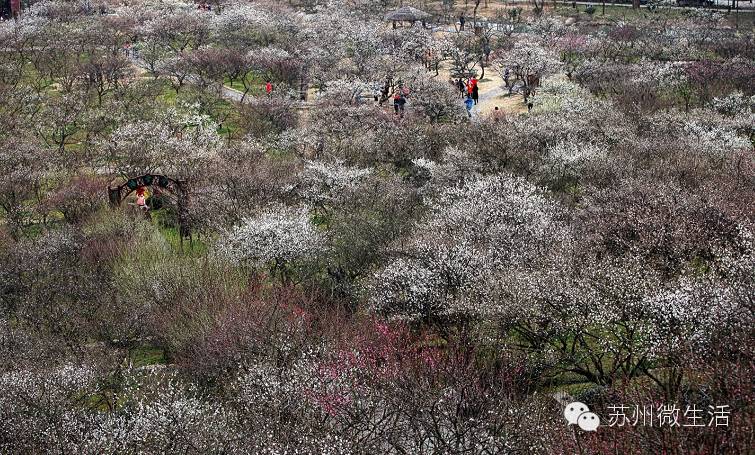 快看！苏州要在全球出名了！竟然与纽约、伦敦、东京、巴黎同上一个榜单...