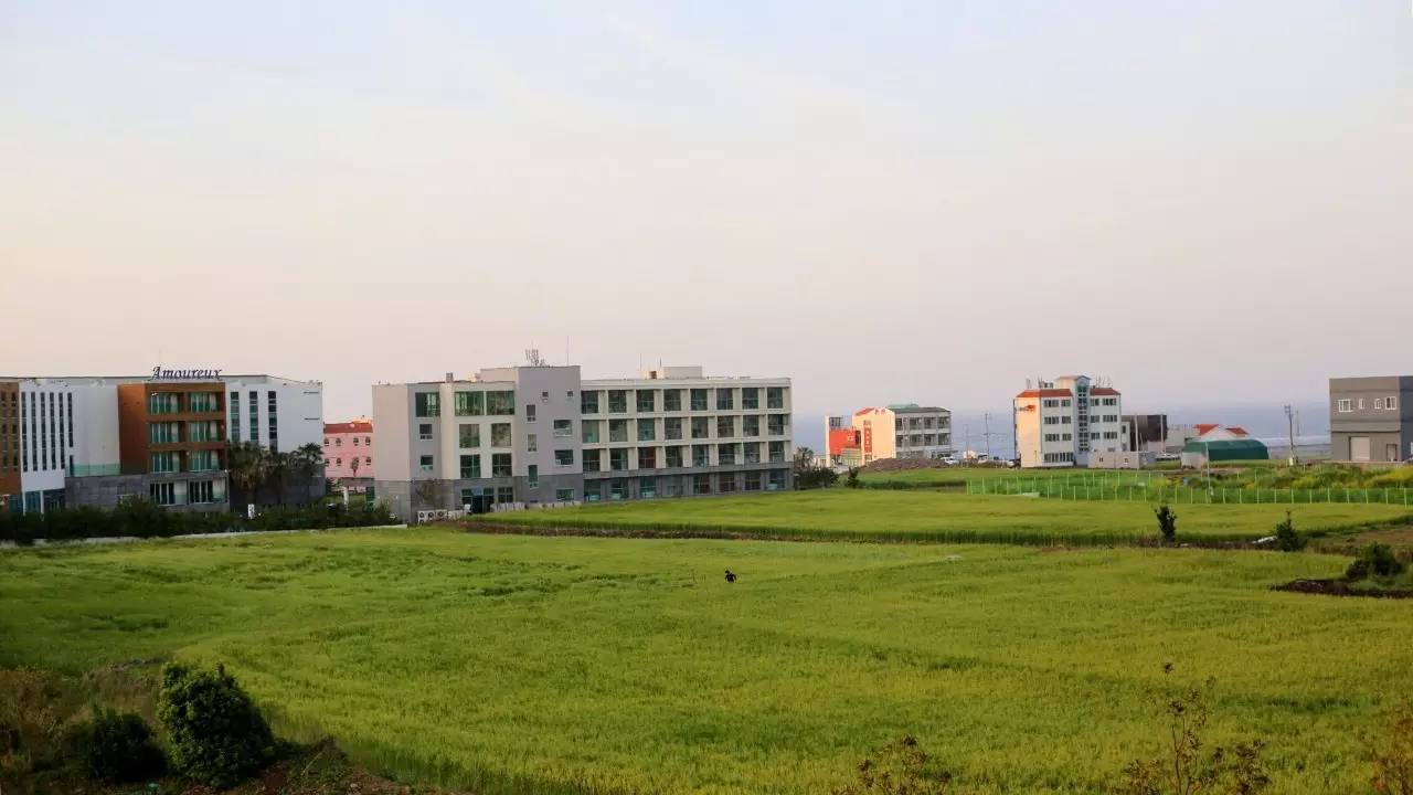 全过程记录,揭秘廉价济州岛跟团游背后的真相