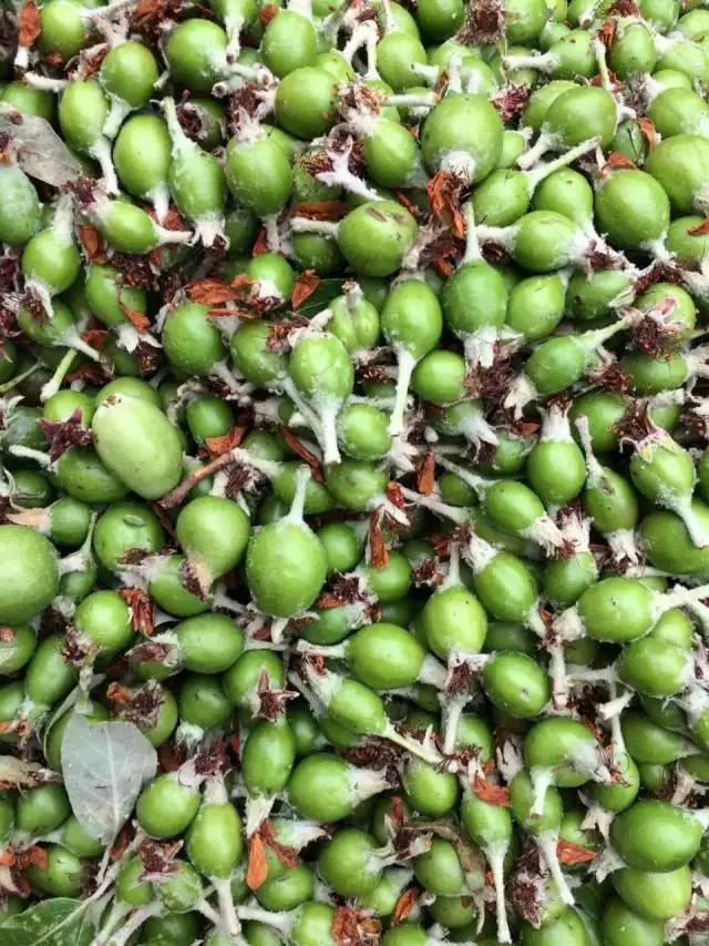 水果蘸着盐巴、辣椒吃，泡酒喝，云南人吃水果的姿势太丰富多彩了