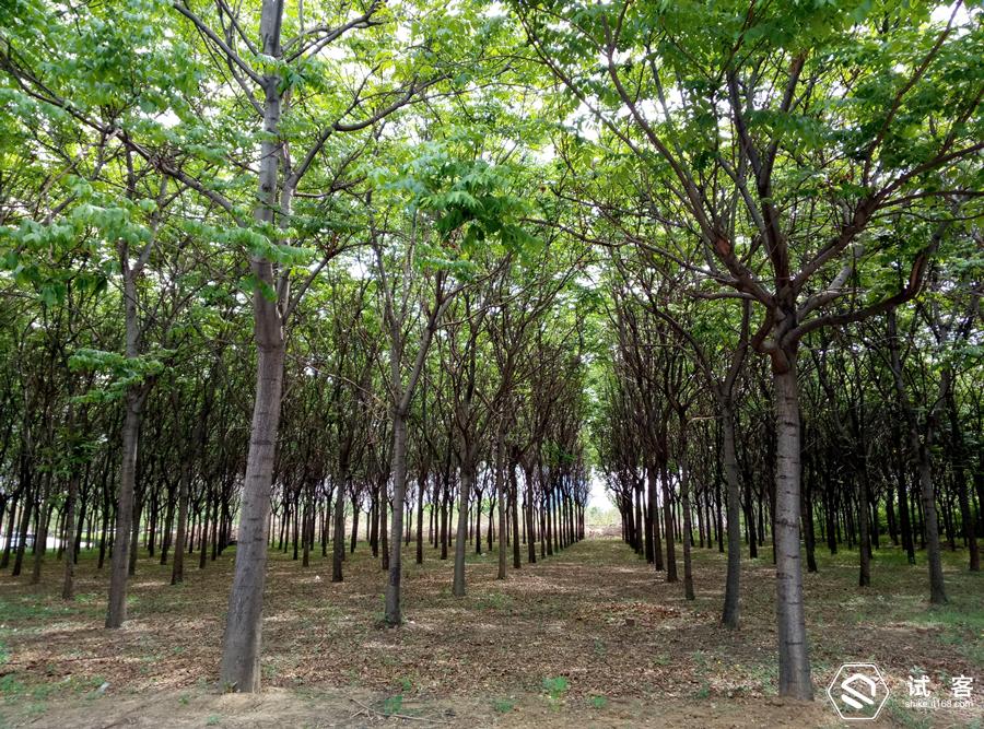 颜值爆表性价比手机,魅蓝note3参数配置详情