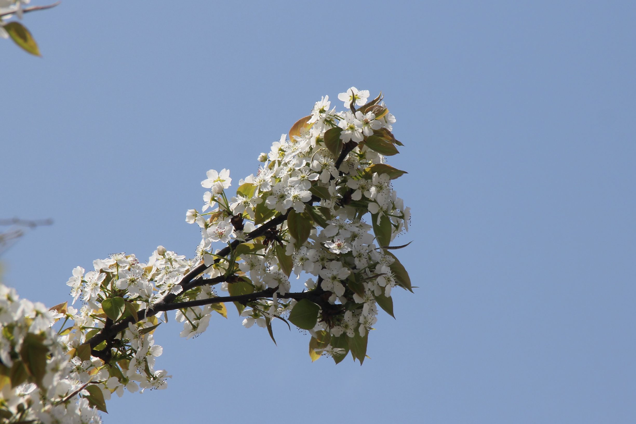 三星s7对比5s,三星s7e和note7