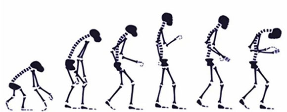 郑飞桂林电子科技大学,郑飞西安电子科技