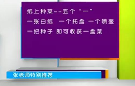 出来的五个种菜实用小技巧,纸上种菜可以种向日葵吗