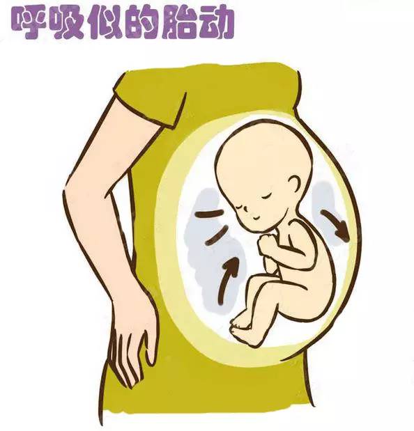 宝宝胎动都在做什么？看完也是醉了