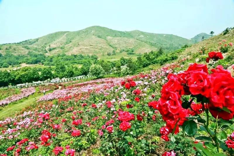 买一送一法国进口波尔多红酒,法国原瓶进口红酒多少钱