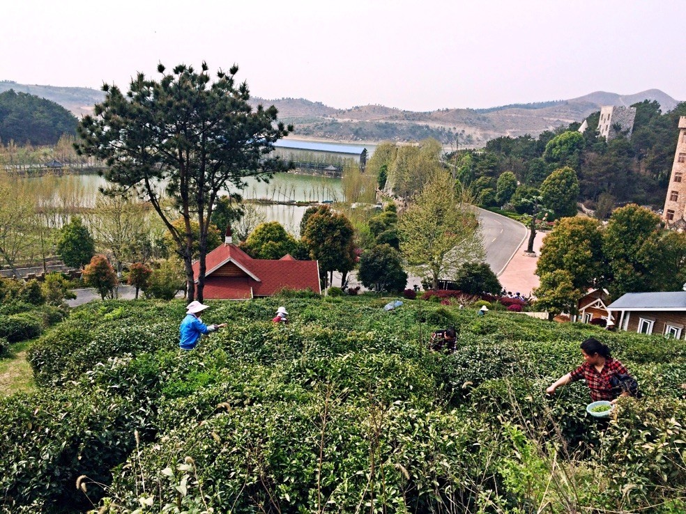 买一送一法国进口波尔多红酒,法国原瓶进口红酒多少钱