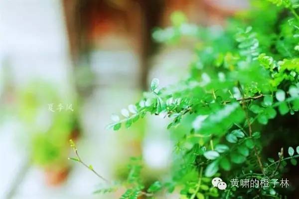 女性专属停车位该不该歧视辩论赛,女性专用停车位是尊重还是侮辱