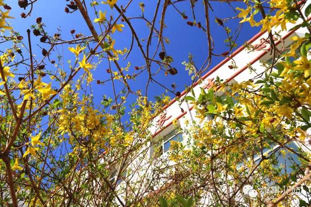 包钢三中真的要改名吗,包钢三中整体成绩怎么样