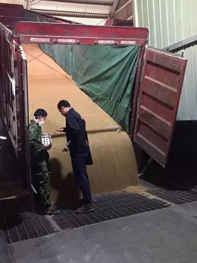 匠心品质的手工挂面,挂面传承百年技艺感受乡愁味道