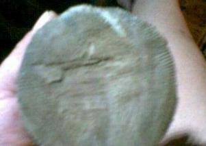 金丝楠沉香手工制作视频,金丝楠木圆形香炉