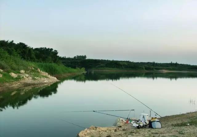 最新重庆周边钓鱼地点推荐,重庆免费钓鱼的最佳地点