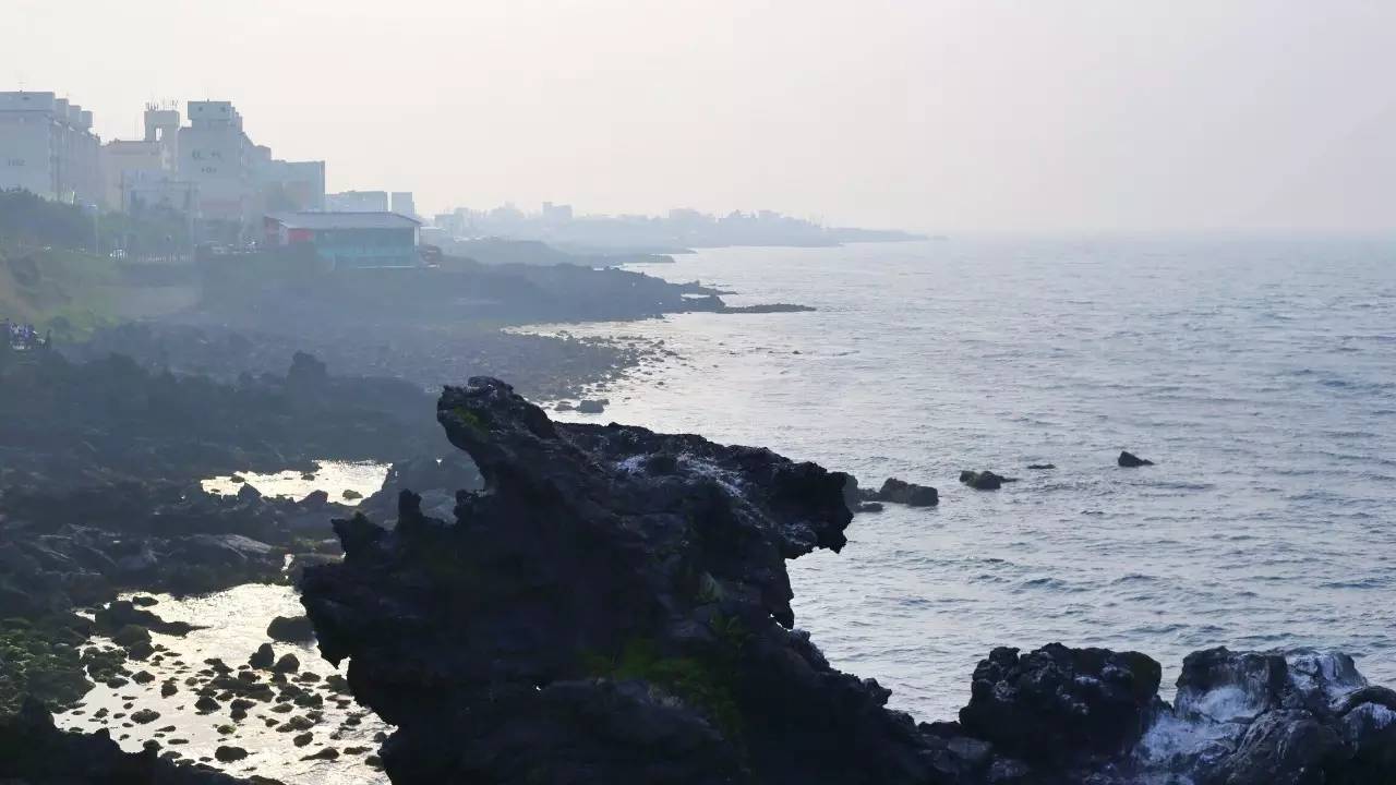 全过程记录,揭秘廉价济州岛跟团游背后的真相