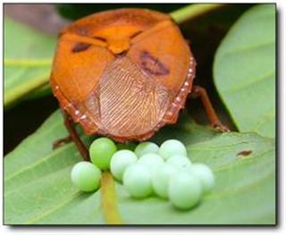 80后儿时的美食记忆,80后记忆中的美味零食你吃过几种