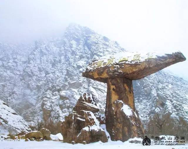 瀹佸绗竴缇庡コ鐓х墖,涓浗瀹佸绗竴缇庝汉