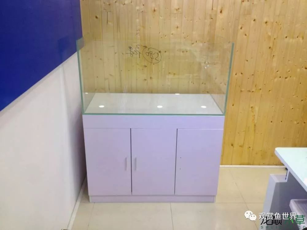 谦虚的新人晒一晒1米缸,“建缸”VS45天后(内涵多张细节图和详解!)