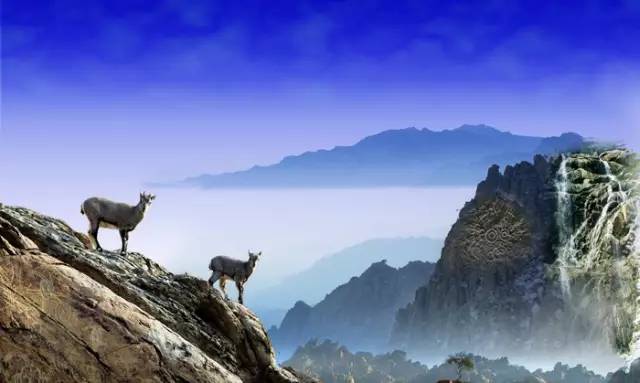 瀹佸绗竴缇庡コ鐓х墖,涓浗瀹佸绗竴缇庝汉