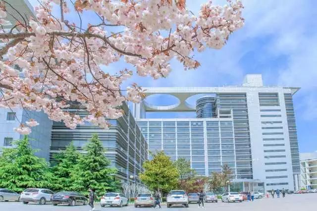 石大校园的图片,石大校园美景图