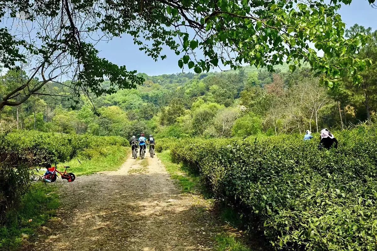 无锡千年古村尧歌里火了,无锡古村尧歌里在哪里