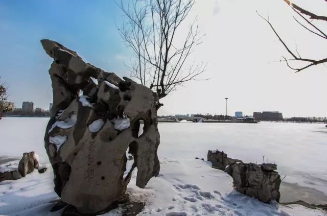 石大给父母拍毕业照,石大校园的图片