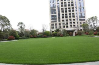 新力帝泊湾视频,新力帝泊湾新力君悦湾