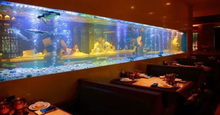 福州十大顶级高端餐厅,全福州最高档的餐厅