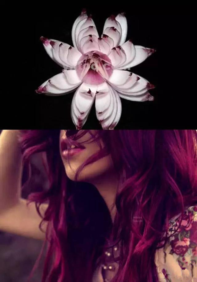 什么样的天然食品可以染发,天然染发的食物