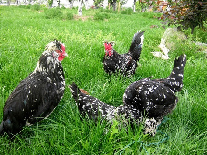 五一好去处~除了竹海善卷洞，宜兴的这些地方也很美~