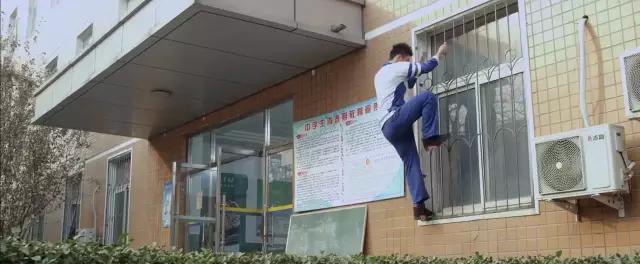 顾海白和洛因小说作者,顾海白和洛因重逢