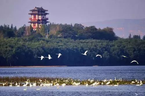 元旦假期就去这里玩,假期马上开始嗨起来