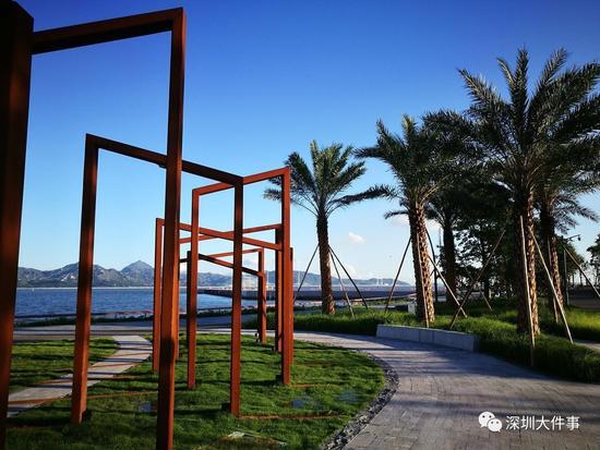 深圳新好玩的免费景点,深圳新出好玩的地方