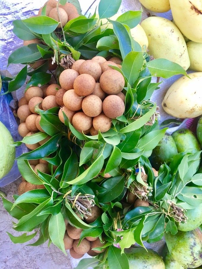 一个人越南攻略,一个人越南自驾游纪录片