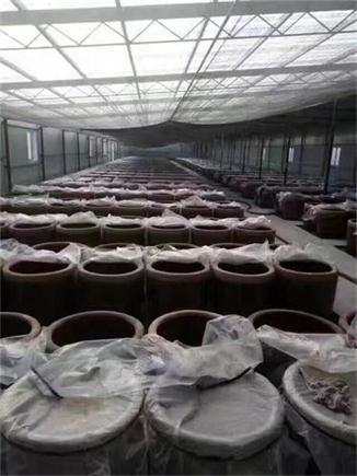 藏白酒的正确喝法,白酒的五种藏法