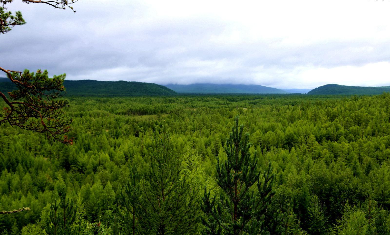 河南鄢陵温泉度假攻略,鄢陵温泉度假小镇