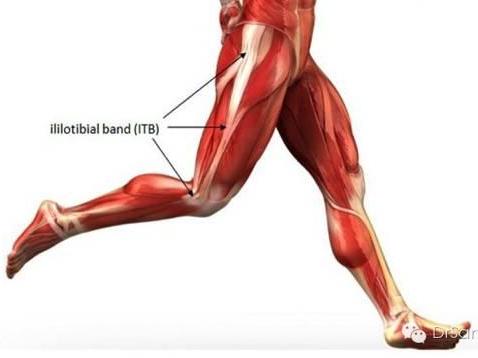 早晨跑步还是晚上跑步对身体好,早上跑步还是晚上跑步对身体好