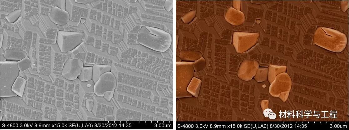投票表决素材模板,投票素材图片图文