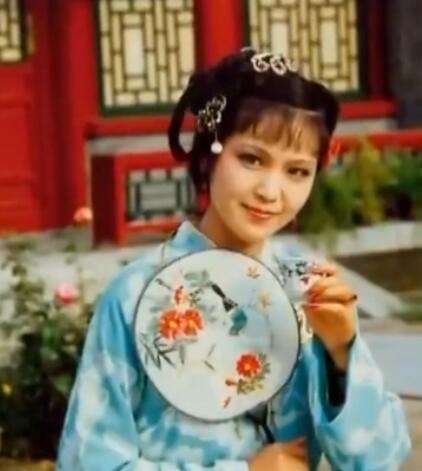 红楼梦中12金钗有没有袭人,红楼梦中12金钗指的是