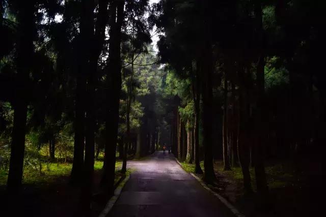 徒步四小时上山看雾凇,这个元旦去哪看雪