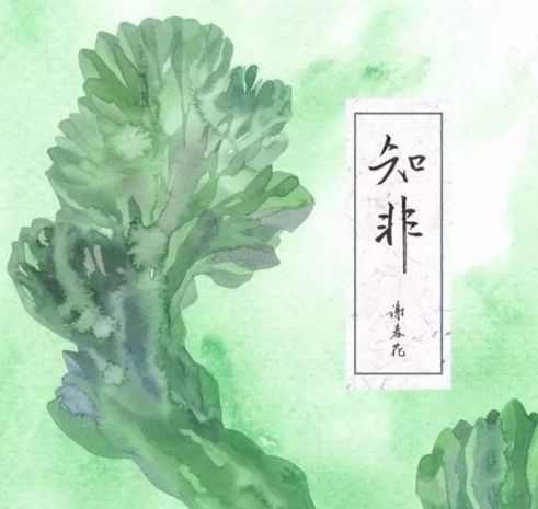 谢春花小吉他,谢春花节目里用的什么吉他