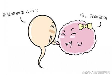 40周孕期全程手册——怀孕第2周:今天是不是好日子(part3)