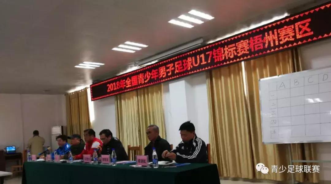 全国青少年足球锦标赛u17回放,第二届全国u17男子足球比赛