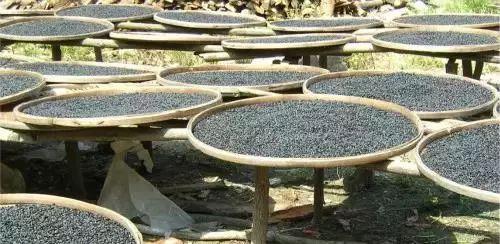 英德市特色,英德有几个特产