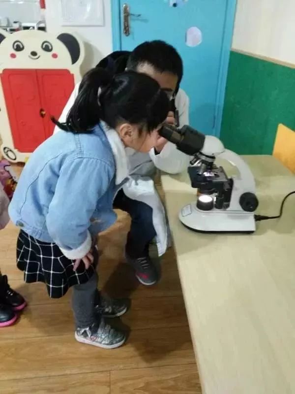 家长助教课文明礼仪幼儿园,家长助教幼儿园美术