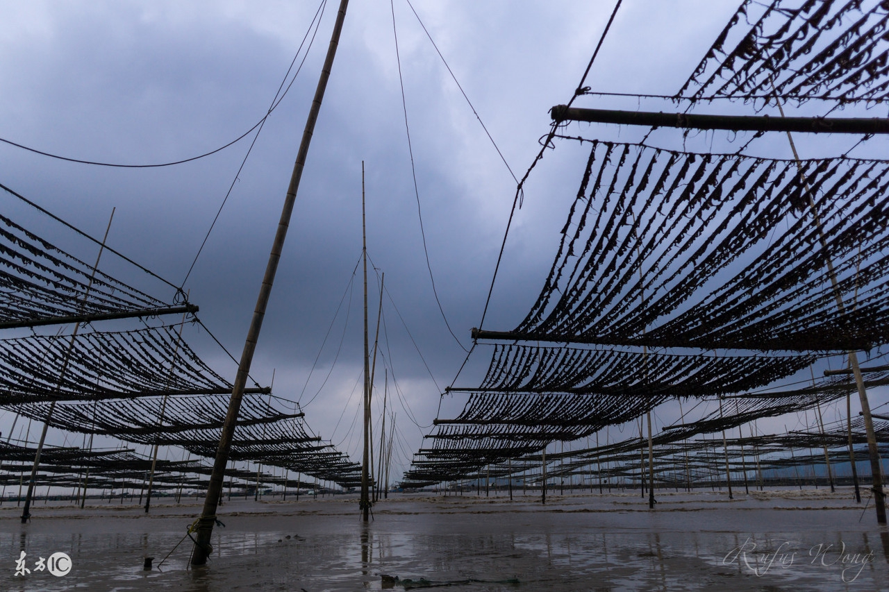 白酒、啤酒、红酒、烈酒各大派别怼起来了，你站哪一队？