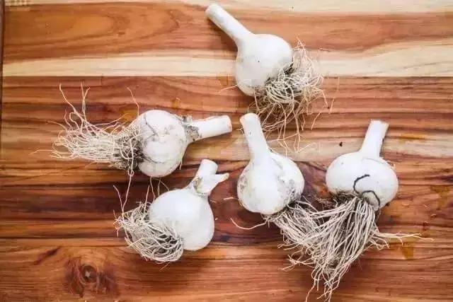 醉美食教程,酸菜腌制配方大全