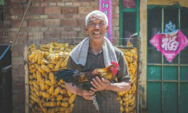 刘强东谈电商扶贫新模式,刘强东扶贫平石头村致富了吗