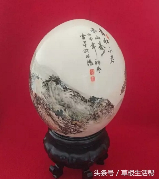 养殖“大笨鸟”，敲开致富门，80后回老家创业成为新一代农场主