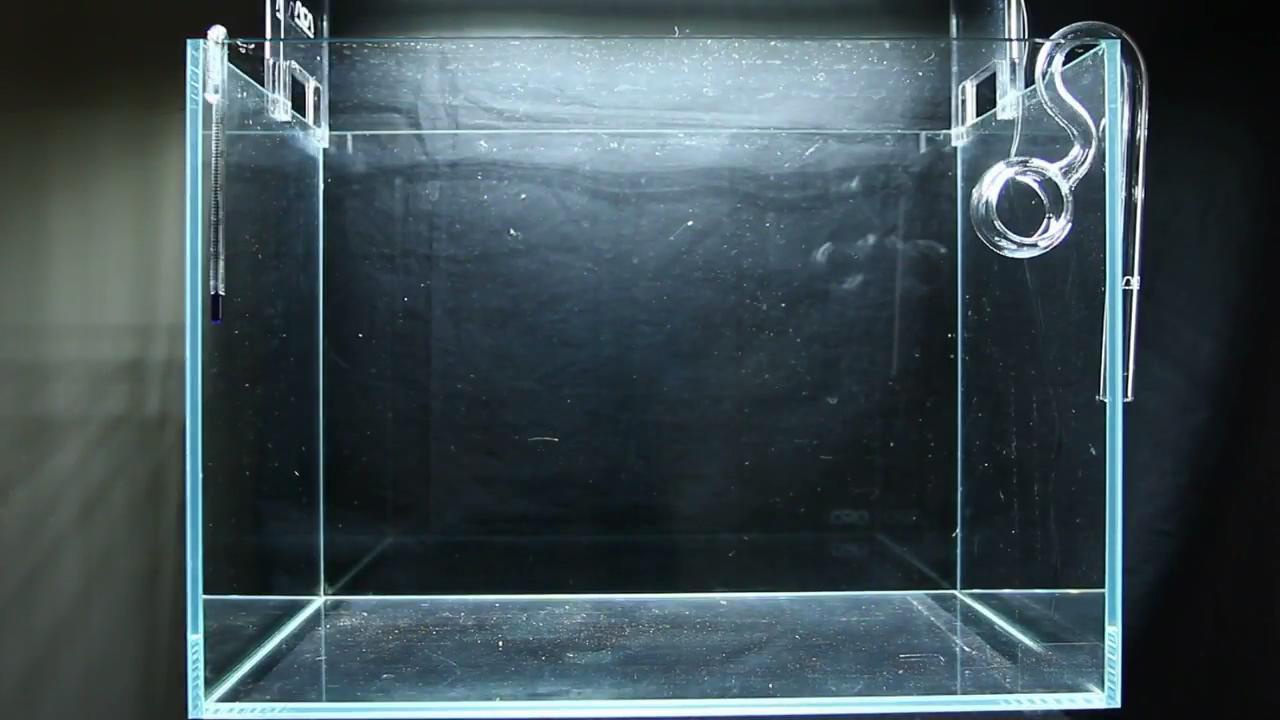 简单的草缸如何制作打理,最简单的小草缸